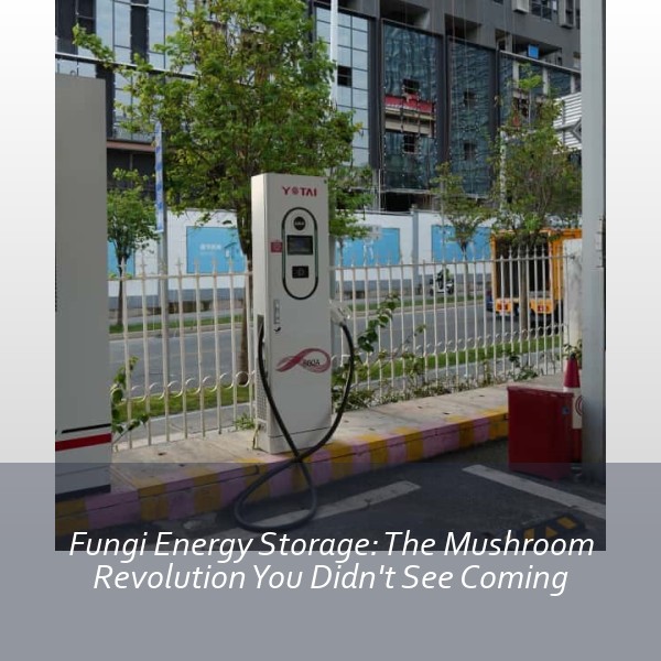 Fungi Energy Storage: The Mushroom Revolution You Didn't See Coming